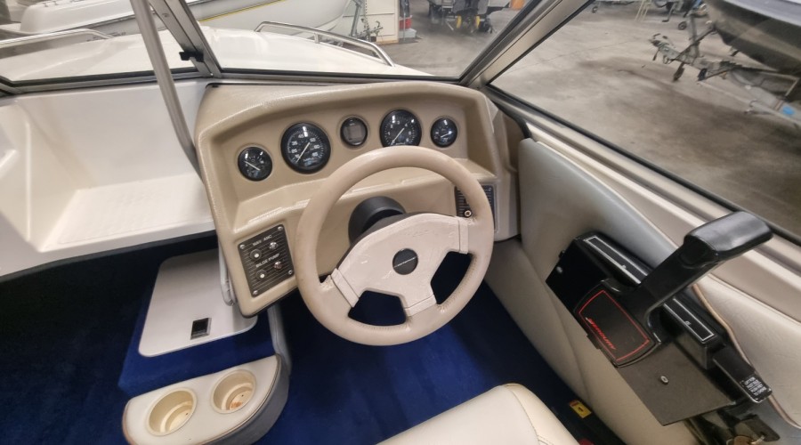 Campion Allante 485 CD met Mercury 40pk en trailer